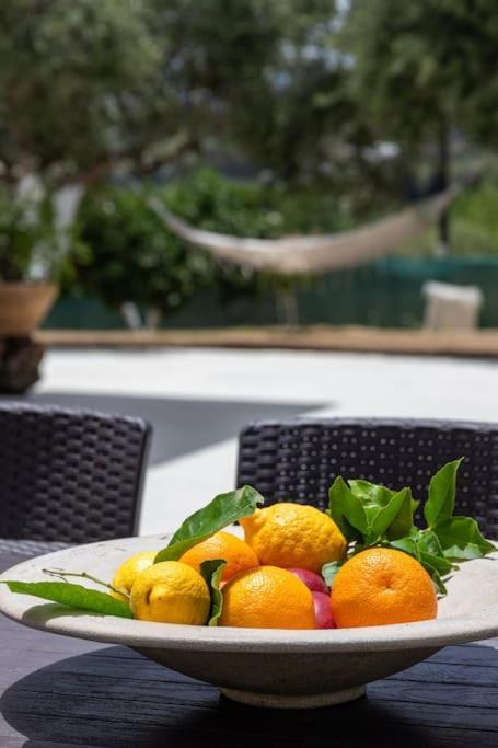 Olive Garden Villa Chania Chania  Exteriör bild